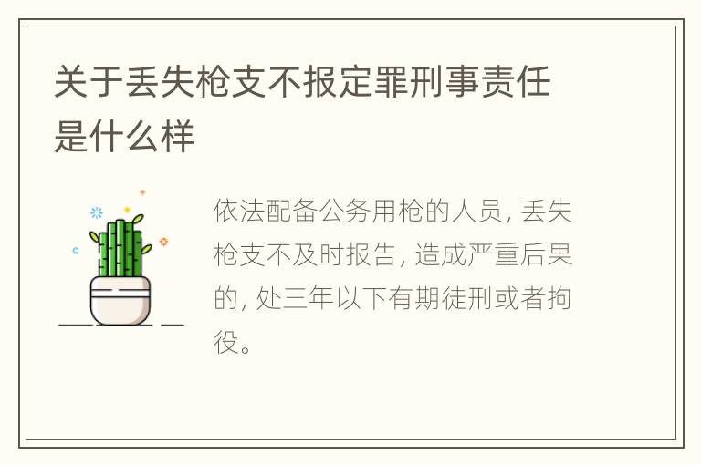 关于丢失枪支不报定罪刑事责任是什么样
