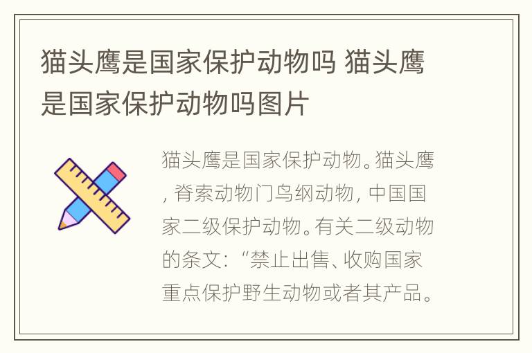 猫头鹰是国家保护动物吗 猫头鹰是国家保护动物吗图片