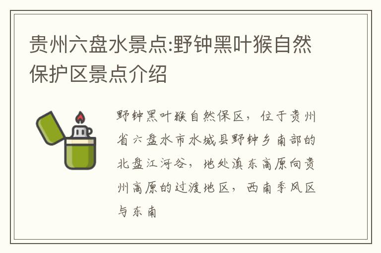 贵州六盘水景点:野钟黑叶猴自然保护区景点介绍