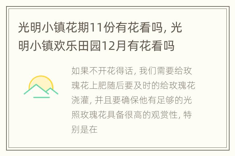 光明小镇花期11份有花看吗，光明小镇欢乐田园12月有花看吗