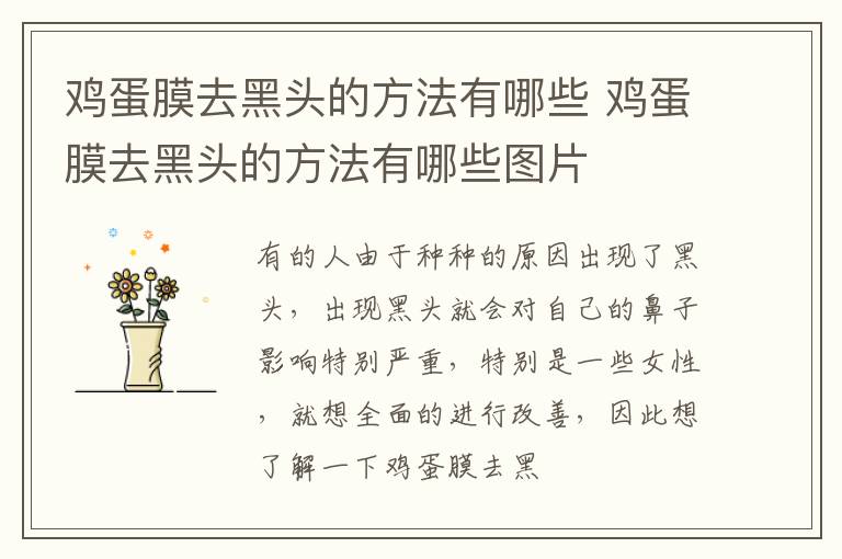 鸡蛋膜去黑头的方法有哪些 鸡蛋膜去黑头的方法有哪些图片