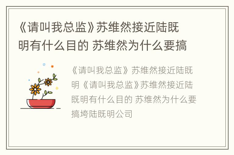《请叫我总监》苏维然接近陆既明有什么目的 苏维然为什么要搞垮陆既明公司