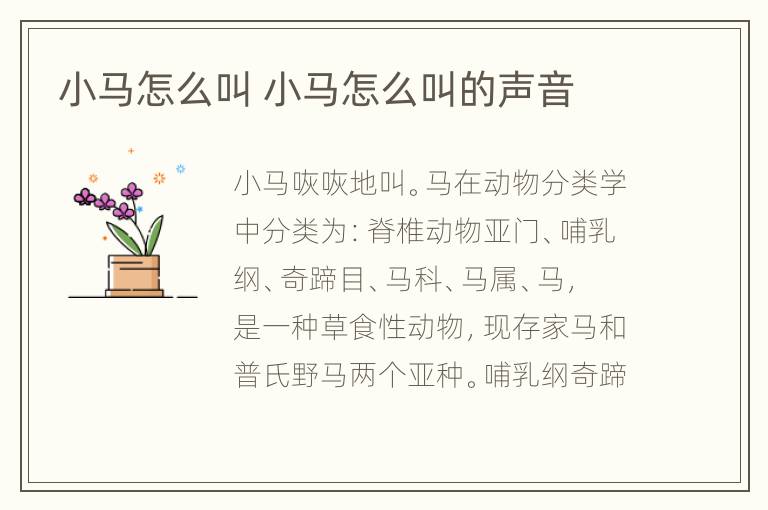 小马怎么叫 小马怎么叫的声音