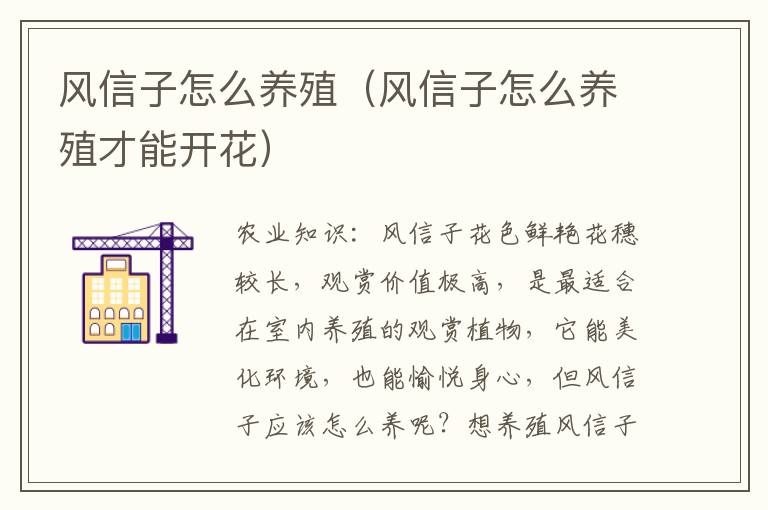 风信子怎么养殖（风信子怎么养殖才能开花）