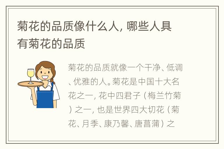 菊花的品质像什么人，哪些人具有菊花的品质