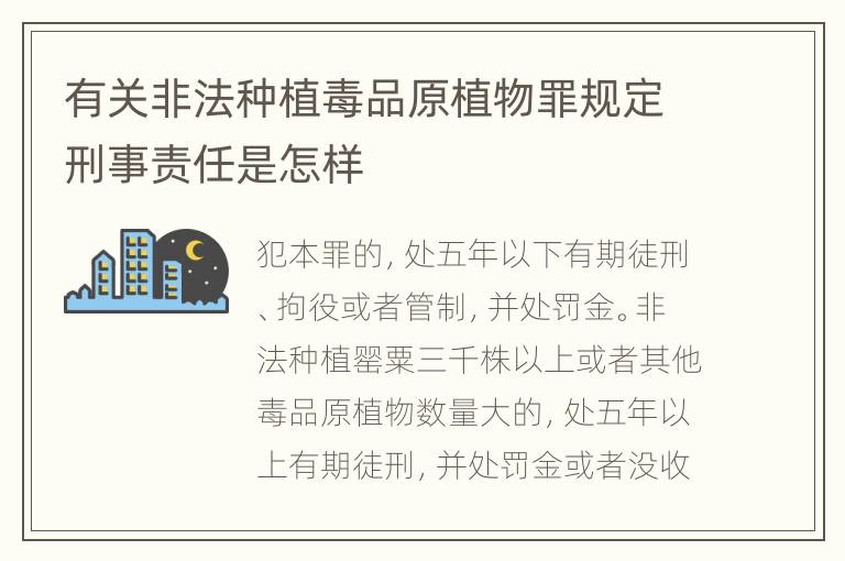有关非法种植毒品原植物罪规定刑事责任是怎样