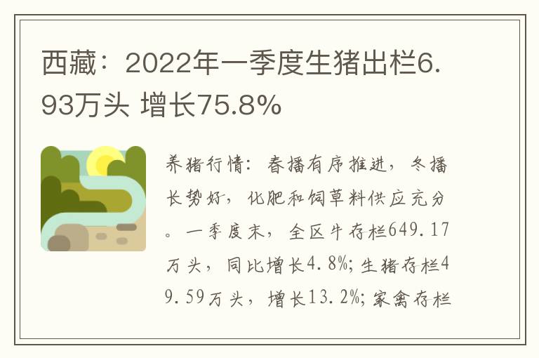 西藏：2022年一季度生猪出栏6.93万头 增长75.8%