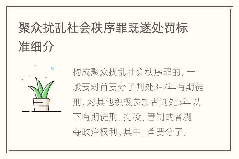 聚众扰乱社会秩序罪既遂处罚标准细分