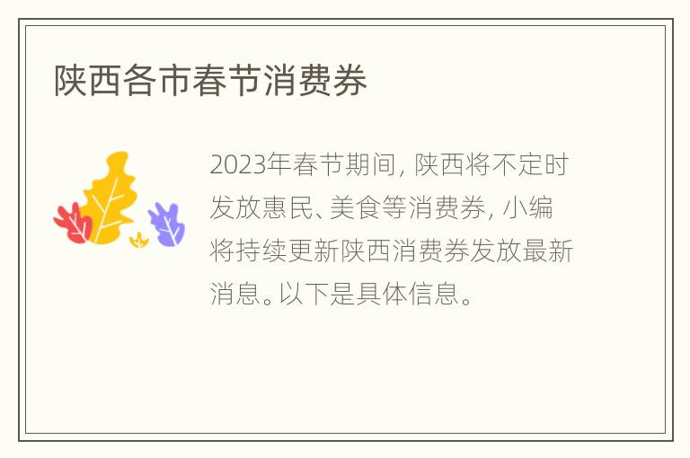 陕西各市春节消费券