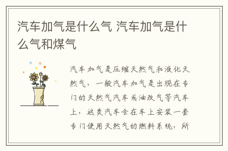 汽车加气是什么气 汽车加气是什么气和煤气
