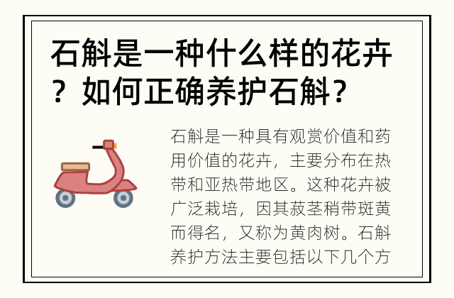 石斛是一种什么样的花卉？ 如何正确养护石斛？