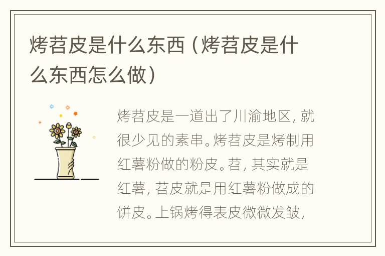 烤苕皮是什么东西（烤苕皮是什么东西怎么做）