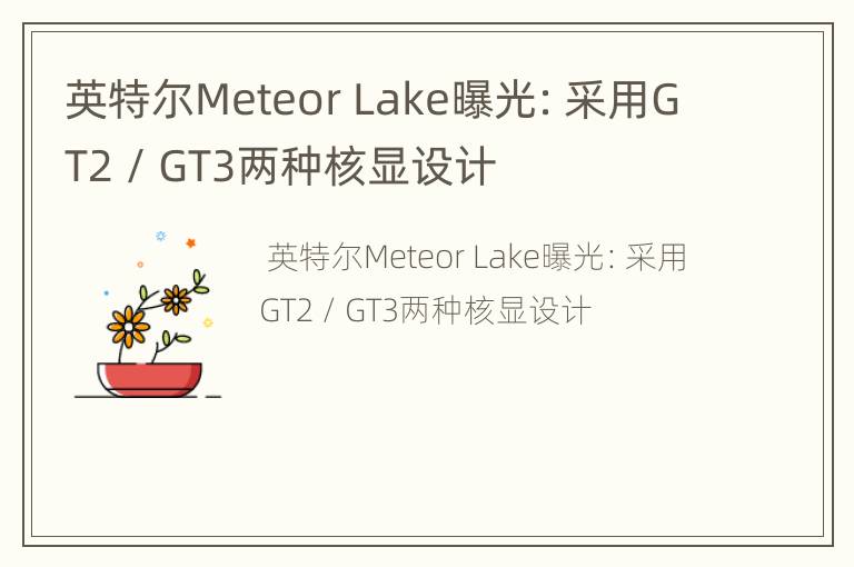 英特尔Meteor Lake曝光：采用GT2 / GT3两种核显设计