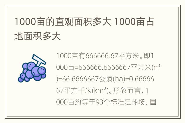 1000亩的直观面积多大 1000亩占地面积多大