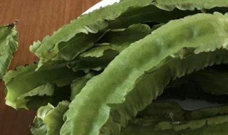 四棱豆种子催芽方法 四棱豆种子发芽方法