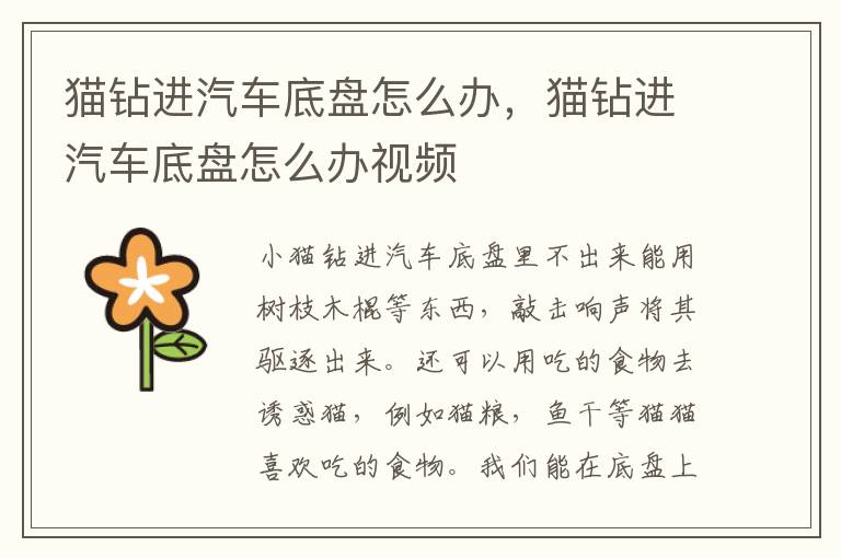 猫钻进汽车底盘怎么办，猫钻进汽车底盘怎么办视频