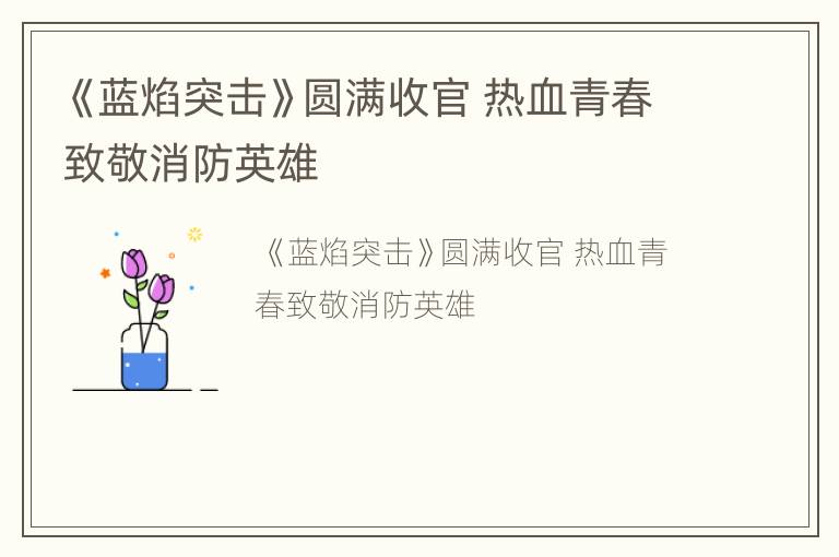 《蓝焰突击》圆满收官 热血青春致敬消防英雄