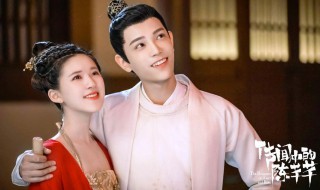 丁禹兮演过的电视剧 丁禹兮演过哪些电视剧