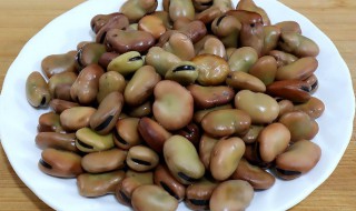 蚕豆发芽了还可以吃吗 蚕豆发芽了还可以吃吗?