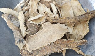 椿根皮的功效与作用 椿根皮的益处