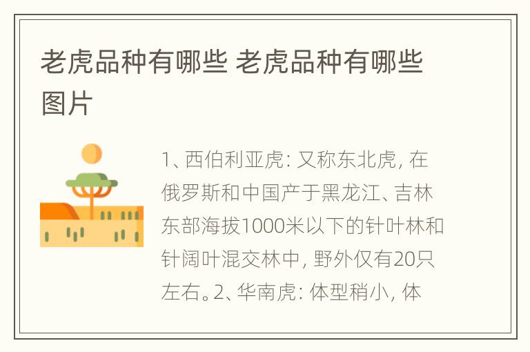 老虎品种有哪些 老虎品种有哪些图片