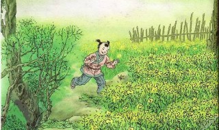 村居的作者 村居的作者介绍