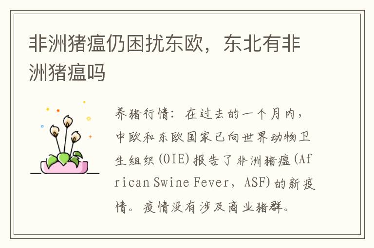 非洲猪瘟仍困扰东欧，东北有非洲猪瘟吗