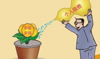 养老保险断交可以补交吗 养老保险断交可不可以补交