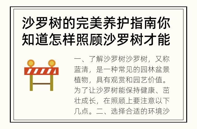 沙罗树的完美养护指南 你知道怎样照顾沙罗树才能让它保持健康吗？