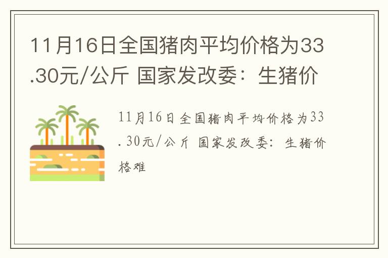 11月16日全国猪肉平均价格为33.30元/公斤 国家发改委：生猪价格难