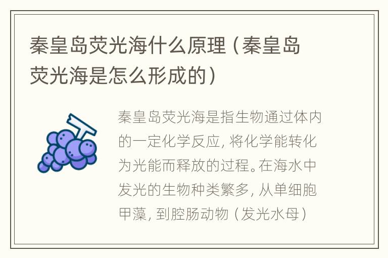 秦皇岛荧光海什么原理（秦皇岛荧光海是怎么形成的）