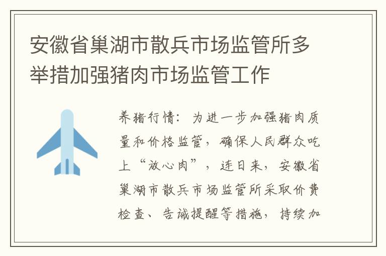 安徽省巢湖市散兵市场监管所多举措加强猪肉市场监管工作