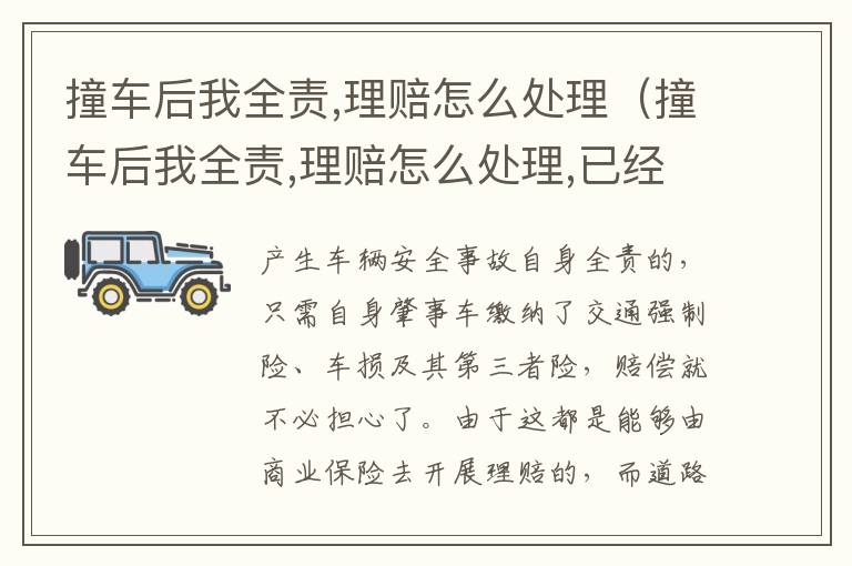 撞车后我全责,理赔怎么处理（撞车后我全责,理赔怎么处理,已经过去一年了）