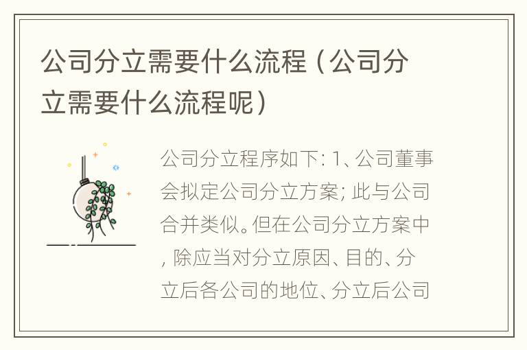 公司分立需要什么流程（公司分立需要什么流程呢）