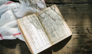 君王死社稷天子守国门什么意思 君王死社稷的出处