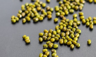 在冰箱里的绿豆能种吗 绿豆能放冰箱冷冻室吗