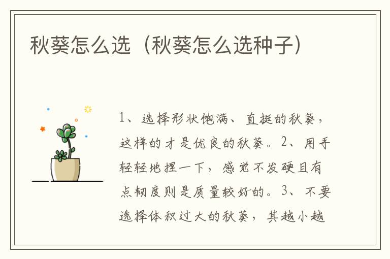 秋葵怎么选（秋葵怎么选种子）