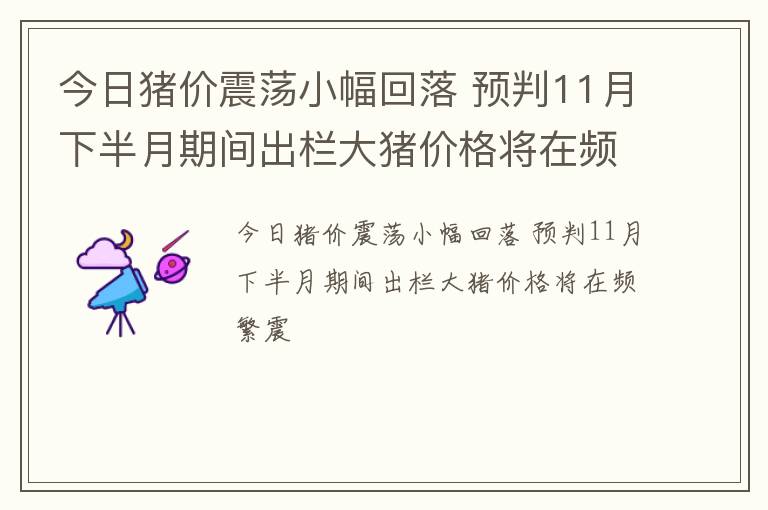 今日猪价震荡小幅回落 预判11月下半月期间出栏大猪价格将在频繁震