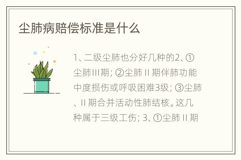尘肺病赔偿标准是什么