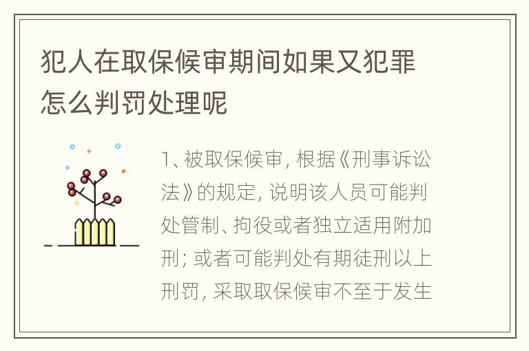 犯人在取保候审期间如果又犯罪怎么判罚处理呢