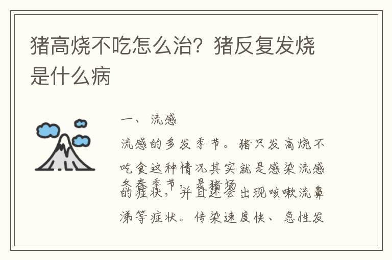 猪高烧不吃怎么治？猪反复发烧是什么病