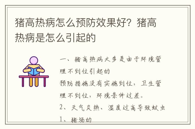 猪高热病怎么预防效果好？猪高热病是怎么引起的