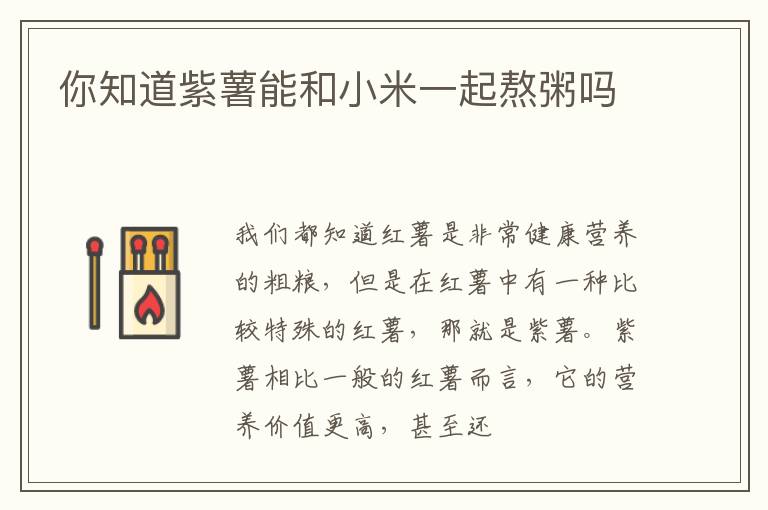 你知道紫薯能和小米一起熬粥吗