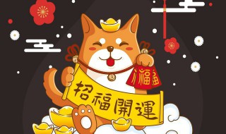 办公室招财金蟾放哪里（金蟾摆放在办公桌的什么位置招财）
