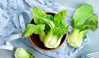 小白菜怎么种 小白菜的种植方式