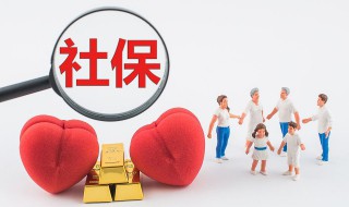 怎么查询养老保险缴费记录 养老保险缴费记录查询步骤