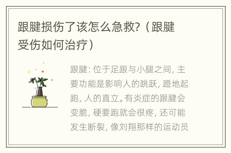跟腱损伤了该怎么急救？（跟腱受伤如何治疗）
