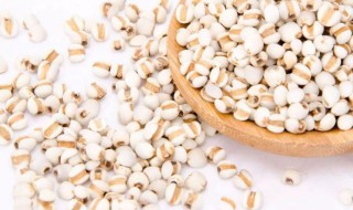 除湿薏米炒还是不炒 除湿薏米应该怎么做
