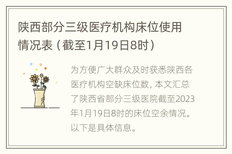 陕西部分三级医疗机构床位使用情况表（截至1月19日8时）