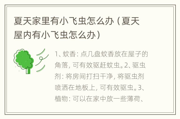 夏天家里有小飞虫怎么办（夏天屋内有小飞虫怎么办）